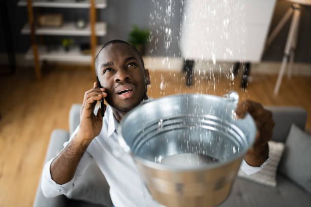 Best 24/7 water damage repair  in Captain Cook, HI