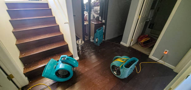 Reliable HI Water damage restoration Solutions