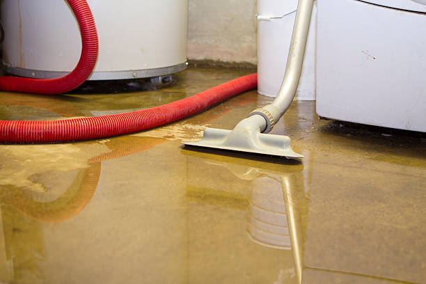 Best Ceiling water damage repair  in Captain Cook, HI