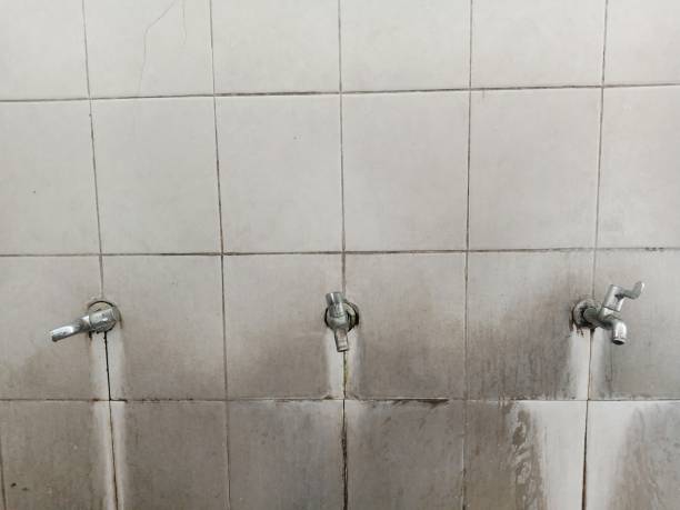 Best Flooded house restoration  in Captain Cook, HI