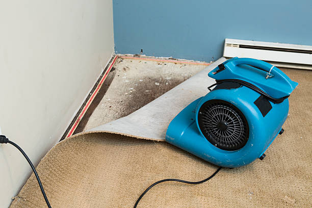 Best 24/7 water damage repair  in Captain Cook, HI